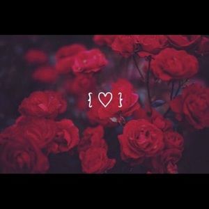 Meet your Posher, Jaden